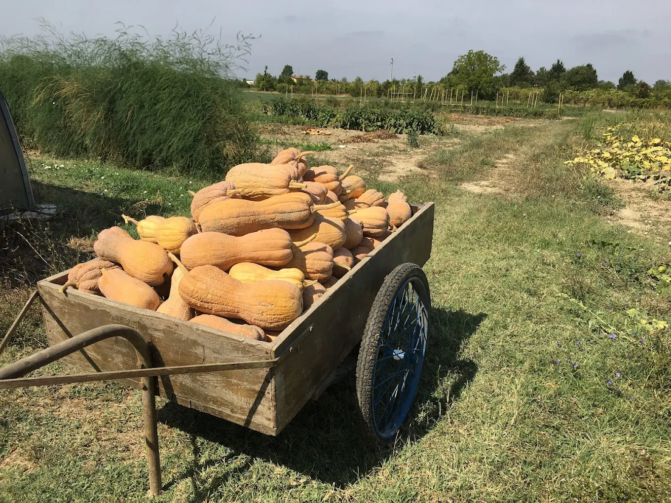 Prodotti Agriturismo Cantoni